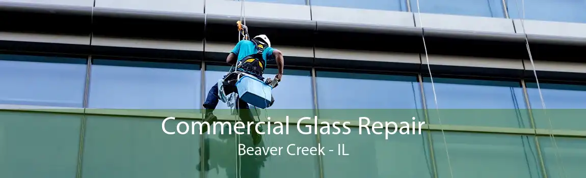 Commercial Glass Repair Beaver Creek - IL