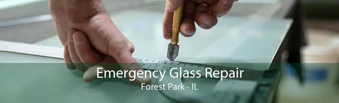 Emergency Glass Repair Forest Park - IL