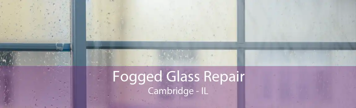 Fogged Glass Repair Cambridge - IL