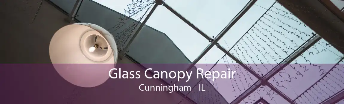 Glass Canopy Repair Cunningham - IL