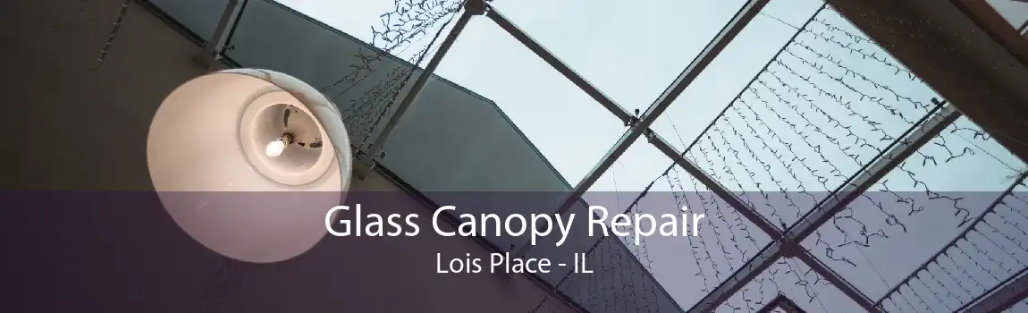 Glass Canopy Repair Lois Place - IL