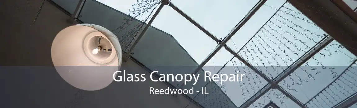 Glass Canopy Repair Reedwood - IL