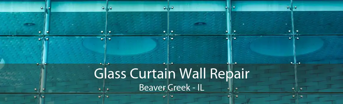 Glass Curtain Wall Repair Beaver Creek - IL
