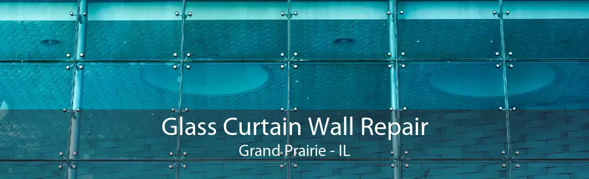 Glass Curtain Wall Repair Grand Prairie - IL