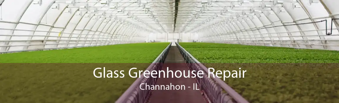 Glass Greenhouse Repair Channahon - IL