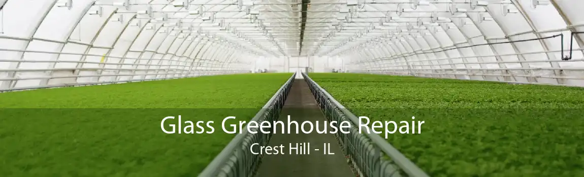 Glass Greenhouse Repair Crest Hill - IL