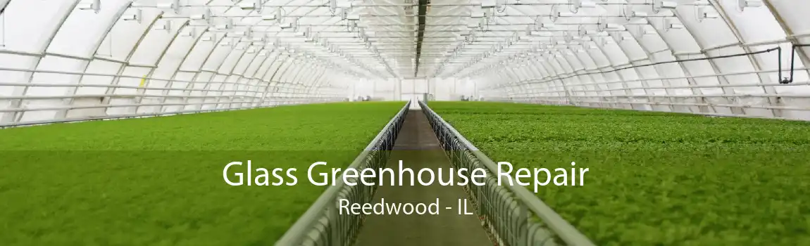 Glass Greenhouse Repair Reedwood - IL