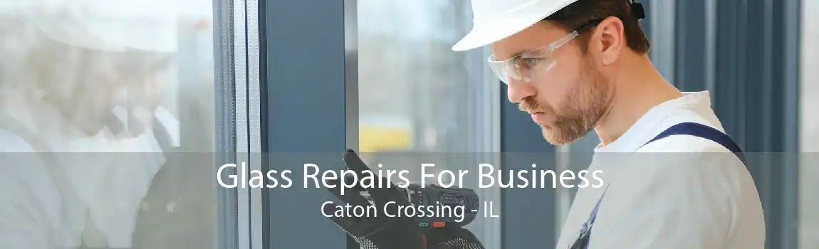 Glass Repairs For Business Caton Crossing - IL