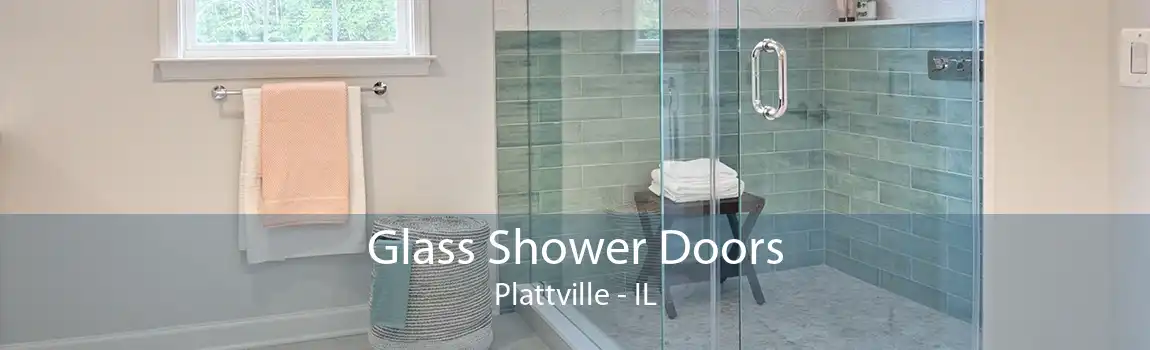 Glass Shower Doors Plattville - IL
