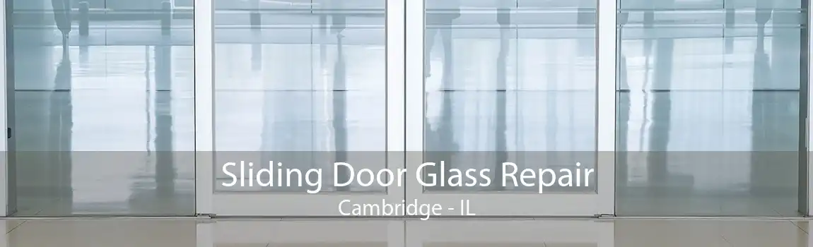 Sliding Door Glass Repair Cambridge - IL