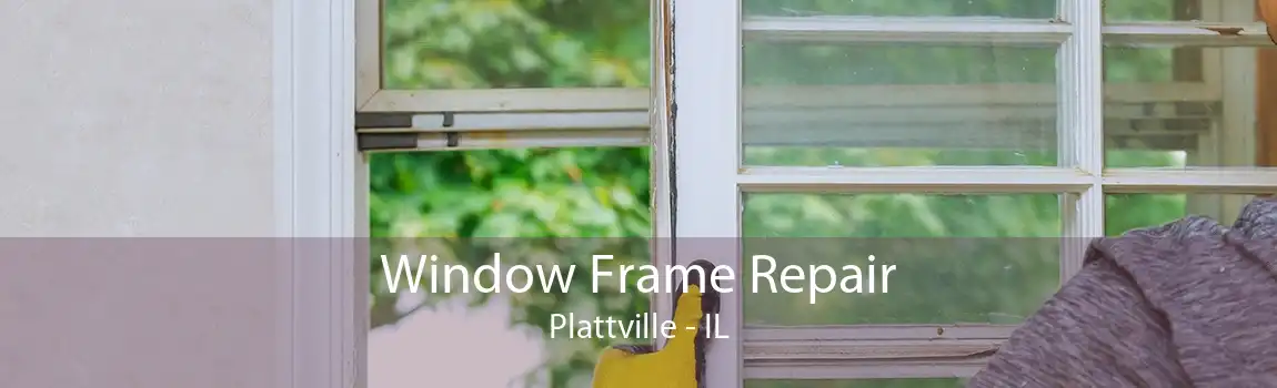 Window Frame Repair Plattville - IL