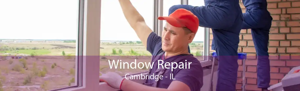 Window Repair Cambridge - IL