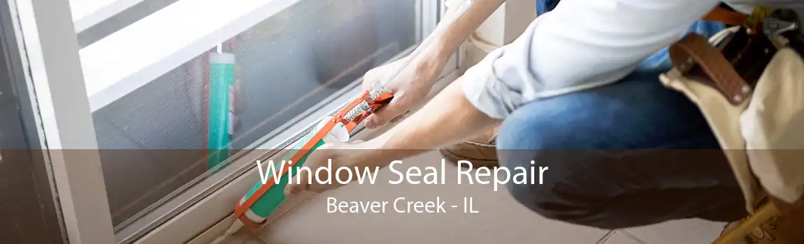 Window Seal Repair Beaver Creek - IL