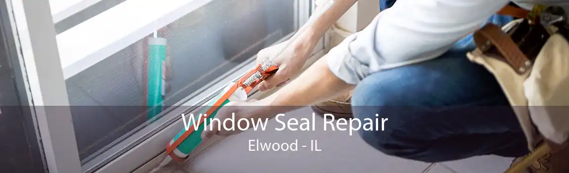 Window Seal Repair Elwood - IL