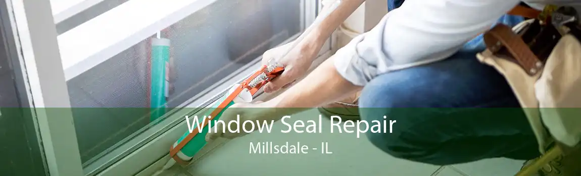 Window Seal Repair Millsdale - IL
