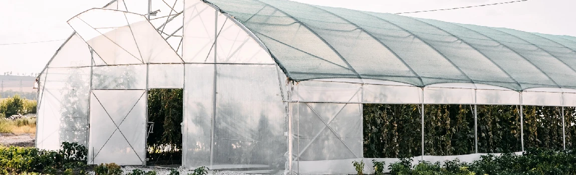 Safe And Reliable Glass Greenhouse in Clublands